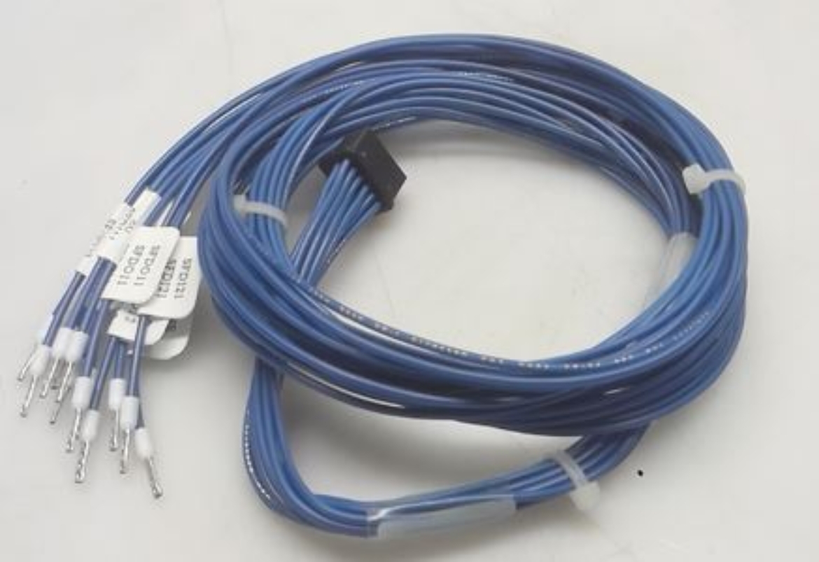 FA CBLEO000000452O.jpg